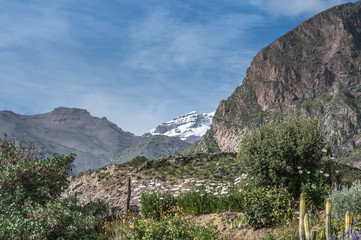 Beautiful Natural view from The Colca Canyon, the deepest canyon