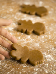 ginger bread man