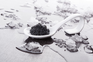 Fototapeta na wymiar Black caviar on spoon.