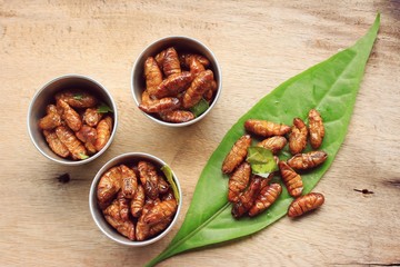 fried insects