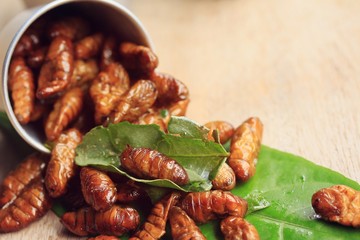fried insects