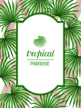 Paradise card with palms leaves. Decorative image tropical leaf of palm tree Livistona Rotundifolia. Image for holiday invitations, greeting cards, posters, brochures and advertising booklets