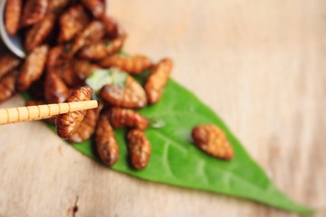 fried insects