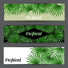 Banners with palms leaves. Decorative image tropical leaf of palm tree Livistona Rotundifolia. Image for holiday invitations, greeting cards, posters, brochures and advertising booklets