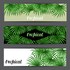 Obraz premium Banners with palms leaves. Decorative image tropical leaf of palm tree Livistona Rotundifolia. Image for holiday invitations, greeting cards, posters, brochures and advertising booklets