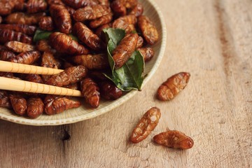 fried insects