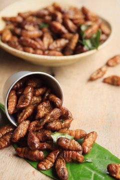 fried insects