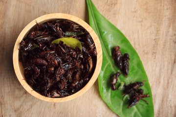 fried insects