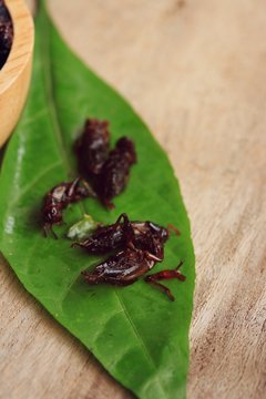 fried insects