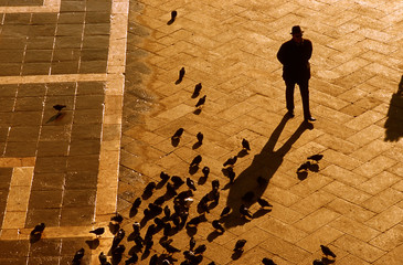 Shadows of man and birds on Italian street