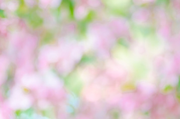 blurred spring nature background