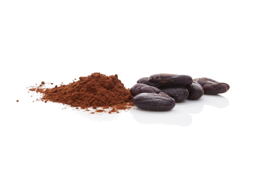 Cocoa beans and cocoa powder.