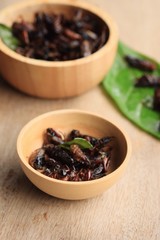fried insects