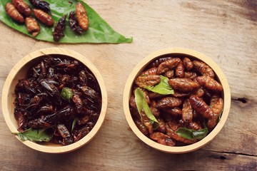 fried insects