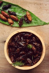 fried insects