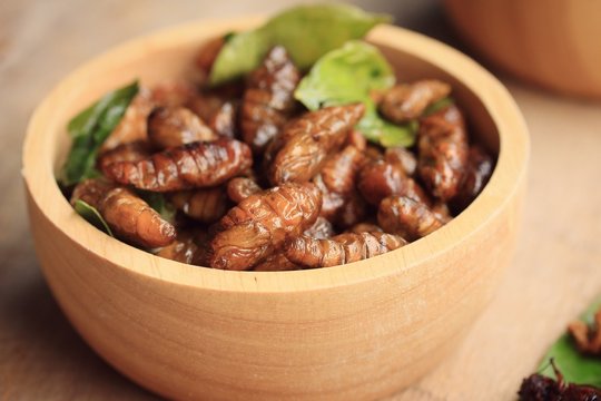 fried insects