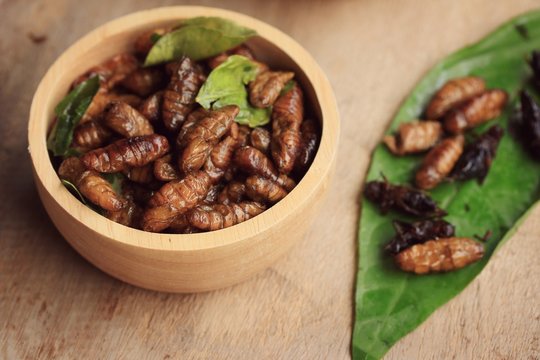 fried insects