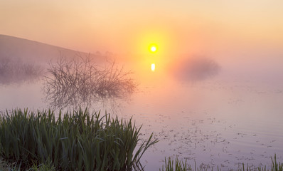 Piękny wschód słońca nad zamglonym jeziorem © Mike Mareen