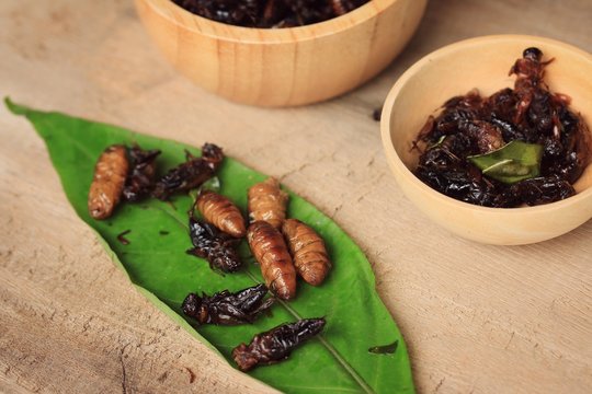fried insects