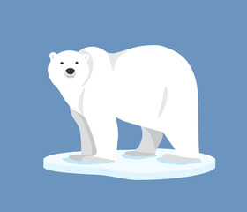 Fototapeta premium Polar bear standing on ice floe, side view