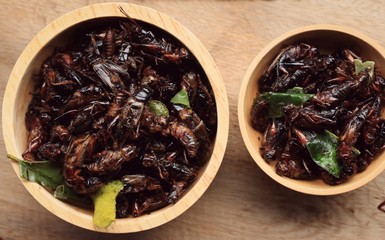 fried insects