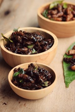 fried insects