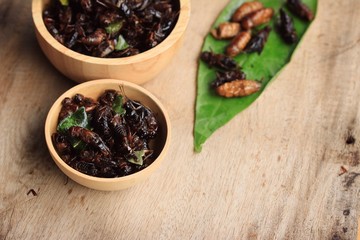 fried insects