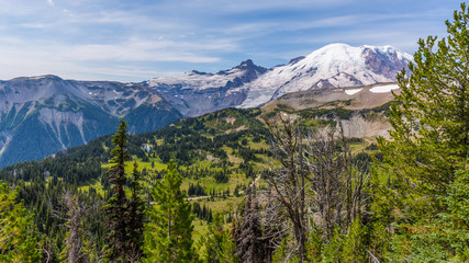 Summer landscape in mountains. Amazing view at the snowy peaks which rose against the blue of a cloudless sky. BERKELEY PARK TRAIL, Sunrise Area, Mount Rainier National Park