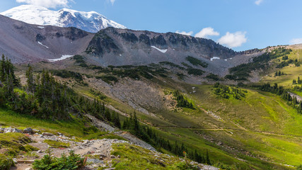 Summer landscape in mountains. Amazing view at the snowy peaks which rose against the blue of a cloudless sky. BERKELEY PARK TRAIL, Sunrise Area, Mount Rainier National Park