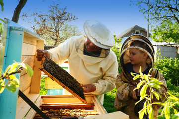 beekeeper grandfather and grandson examine a hive of bees
