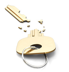 Broken key isolated on white background. 3d render image.