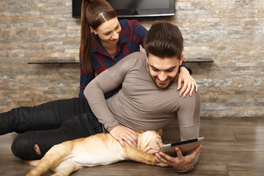 Süse Bilder – Durchsuchen 190 Archivfotos, Vektorgrafiken und Videos