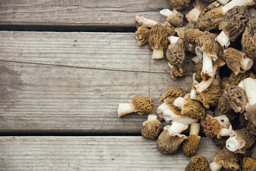 morel mushrooms on wooden background