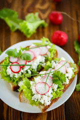 sandwich with cheese, radish and lettuce