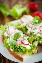 sandwich with cheese, radish and lettuce