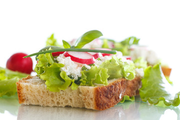 sandwich with cheese, radish and lettuce