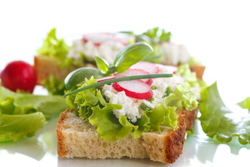 sandwich with cheese, radish and lettuce