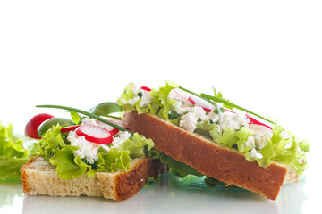 sandwich with cheese, radish and lettuce