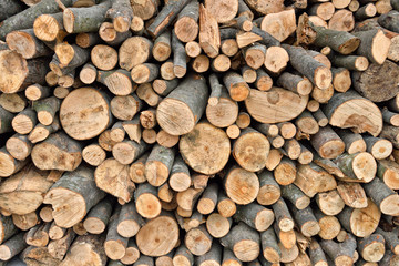 Pile of wood logs ready for winter. Stack of firewood as backgro