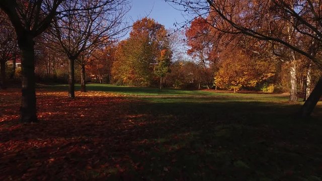 Park im Herbst