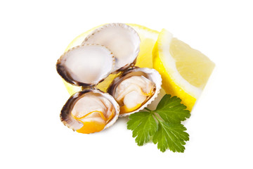 cockles isolated on white background
