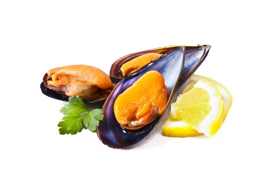 mussels isolated on white background