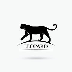 Leopard sign