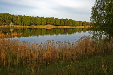 Fototapeta premium Beautiful spring landscape