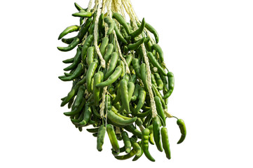 Decorative green chilli bunch