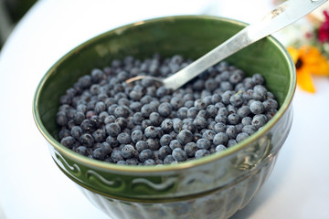 Bowl Full of Fresh Blueberries