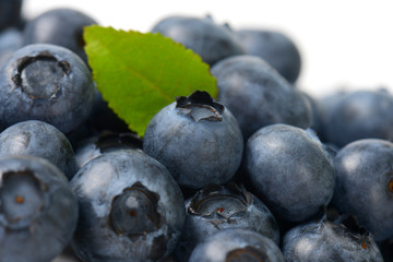 Fresh ripe blueberries