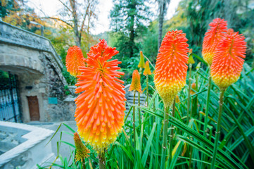 Quinta da Regaleira in Sintra, Portugal.