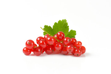 Sprigs of red currant berries