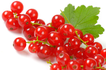 Red currant berries